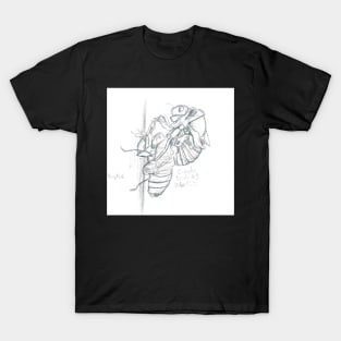 Graphite Cicada T-Shirt